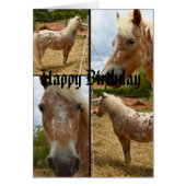 Appaloosa Horses Photo Collage Birthday (Front)