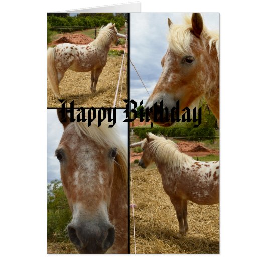 Appaloosa Horses Photo Collage Birthday (Front)