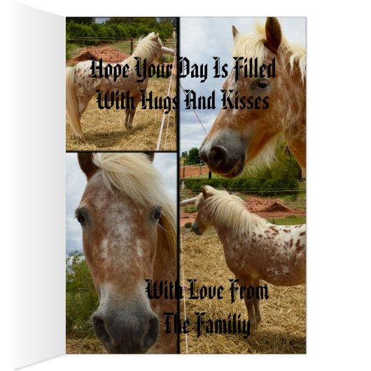 Appaloosa Horses Photo Collage Birthday (Inside (Right))