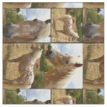 Appaloosa Horses Photo Collage, Fabric