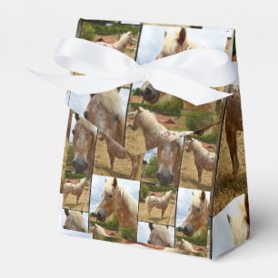 Appaloosa Horses Photo Collage, Gift Favor Boxes