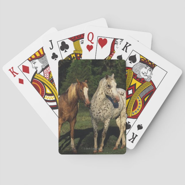 Appaloosa Horses Poker Cards (Back)