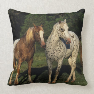 Appaloosa Horses Throw Pillow