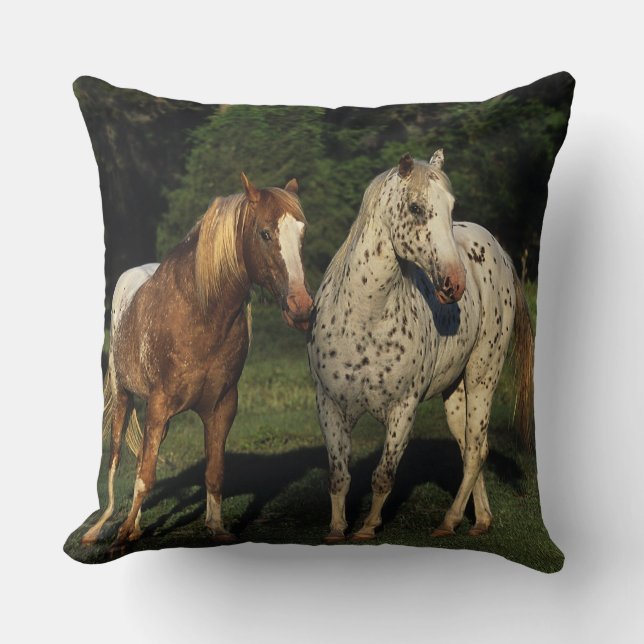 Appaloosa Horses Throw Pillow (Front)