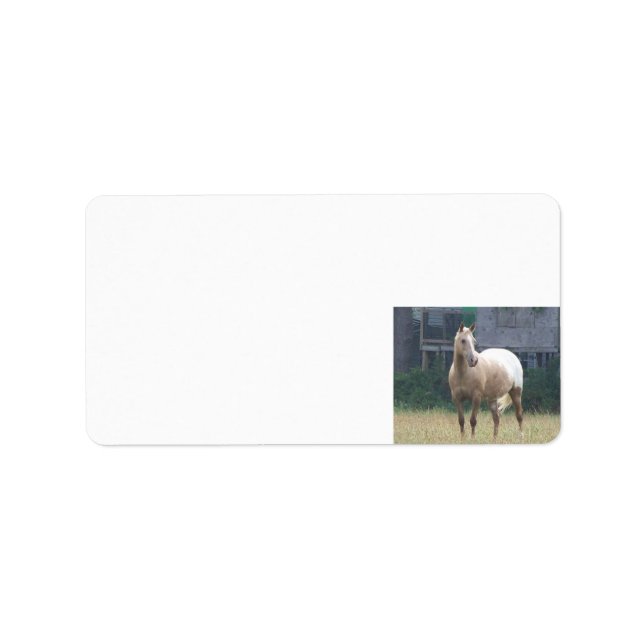 Appaloosa Label (Front)