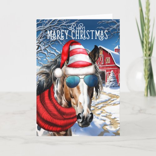 Appaloosa Leopard Horse Funny MAREy Christmas Holiday Card
