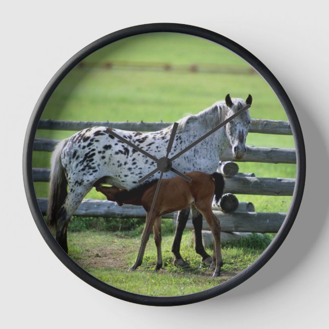 Appaloosa Mare and Colt Horse Clock (Front)