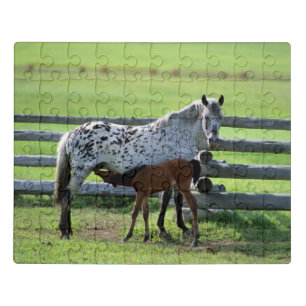 Appaloosa Mare and Colt Horse Jigsaw Puzzle