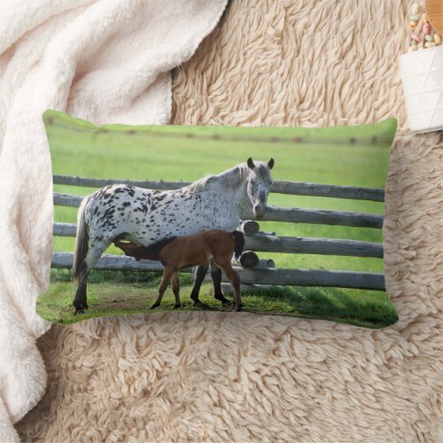 Appaloosa Mare and Colt Horse Lumbar Pillow