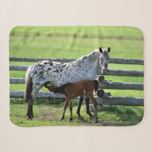 Appaloosa Mare and Colt Horse Sherpa Blanket