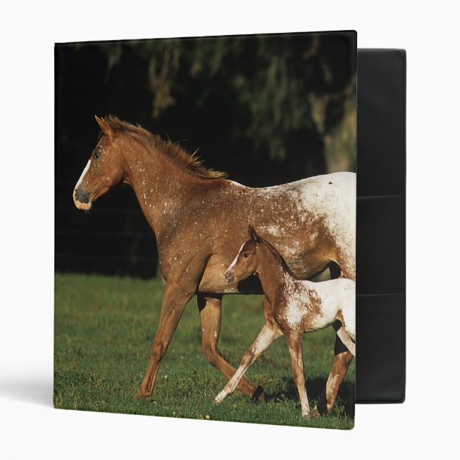 Appaloosa Mare And Foal Binder (Front/Inside)