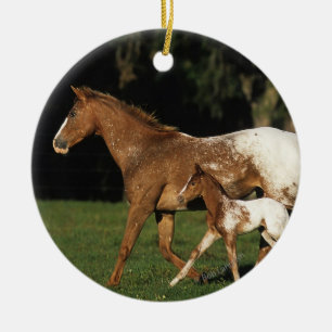 Appaloosa Mare And Foal Ceramic Ornament
