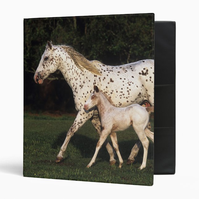 Appaloosa Mare And Foal in Field Binder (Front/Inside)