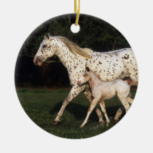 Appaloosa Mare And Foal in Field Ceramic Ornament