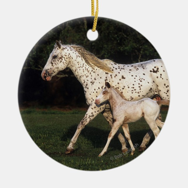 Appaloosa Mare And Foal in Field Ceramic Ornament (Front)