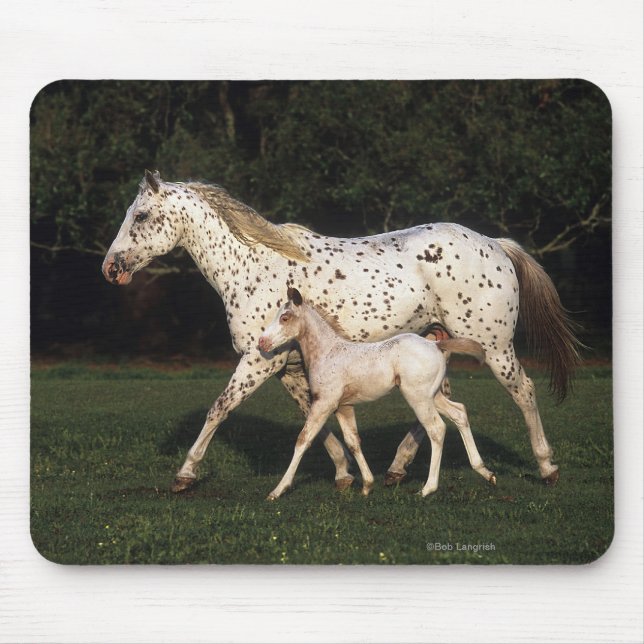 Appaloosa Mare And Foal in Field Mouse Pad (Front)