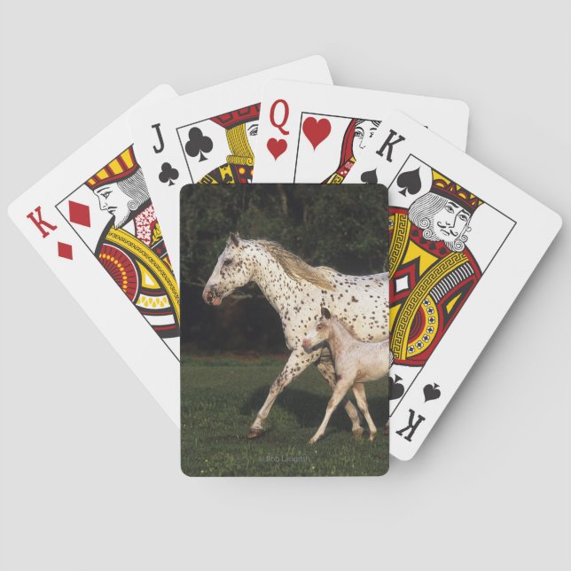 Appaloosa Mare And Foal in Field Poker Cards (Back)