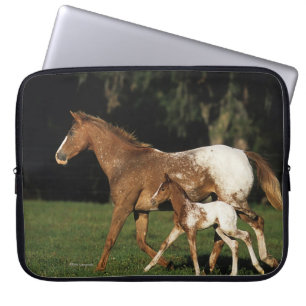 Appaloosa Mare And Foal Laptop Sleeve
