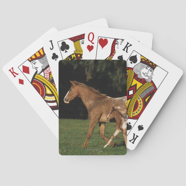 Appaloosa Mare And Foal Poker Cards (Back)