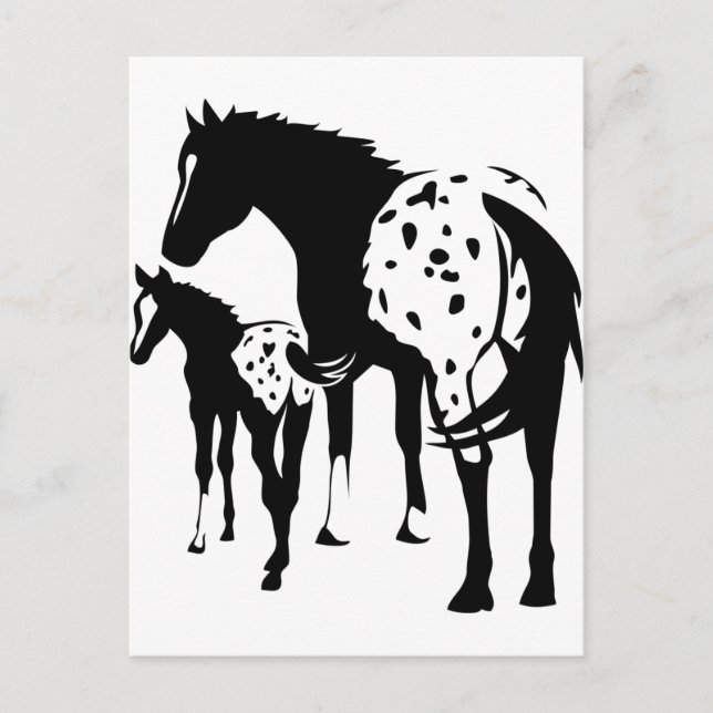 Appaloosa Mare and Foal Postcard (Front)