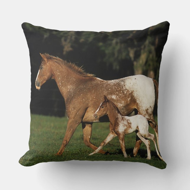 Appaloosa Mare And Foal Throw Pillow (Front)
