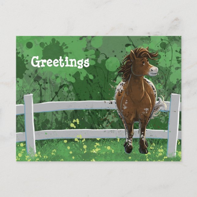 Appaloosa Painted Pony Postcard (Front)