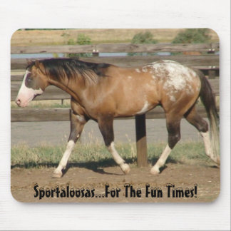 Appaloosa sportaloosa fun times mouse pad