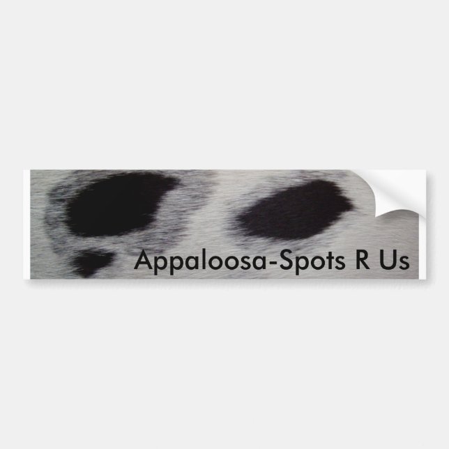 Appaloosa-Spots R Us Bumper Sticker (Front)