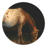 Appaloosa Stickers