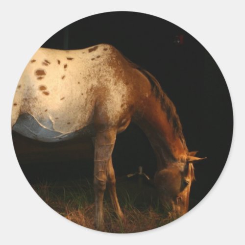 Appaloosa Stickers