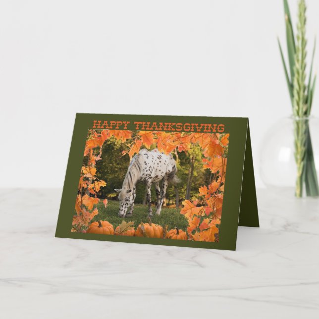 Appaloosa Thanksgiving Holiday Card (Front)
