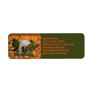 Appaloosa Thanksgiving Label