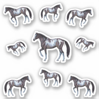 Appaloosa Western horse mare | Illustration - Sticker