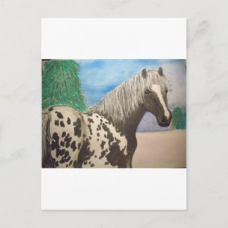 Appaloosa winter postcard
