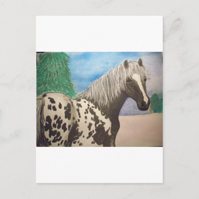 Appaloosa winter postcard (Front)