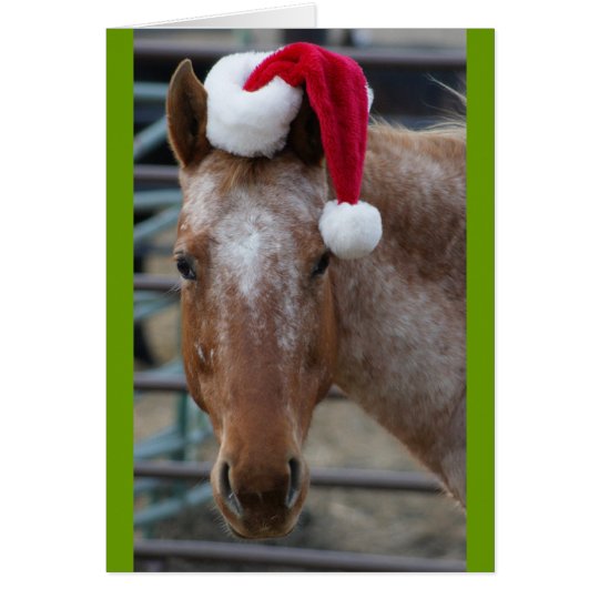Appaloosa with Santa Hat Card