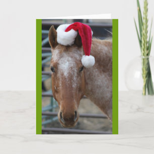 Appaloosa with Santa Hat Holiday Card