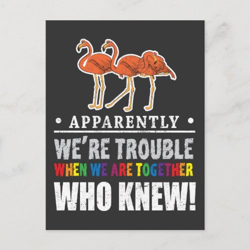 Apparently Were Trouble Flamingo Zoo Animal Postcard