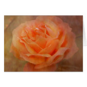Appealing Rose with Texture Cards (Front Horizontal)