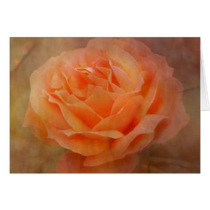 Appealing Rose with Texture Cards