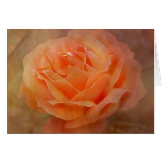 Appealing Rose with Texture Cards (Front Horizontal)