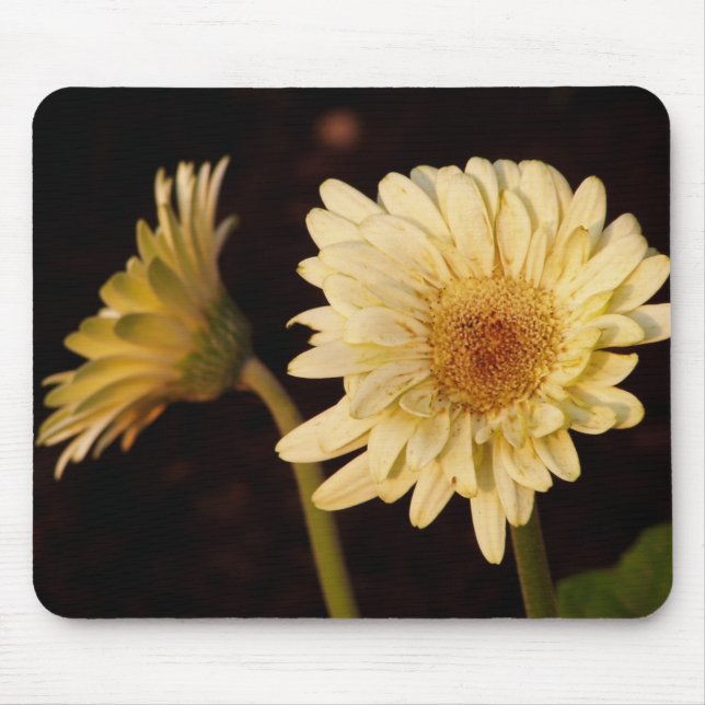 Appearance of Mirror Mouse Pad (Front)