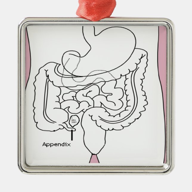 appendix kills you.png metal ornament (Front)
