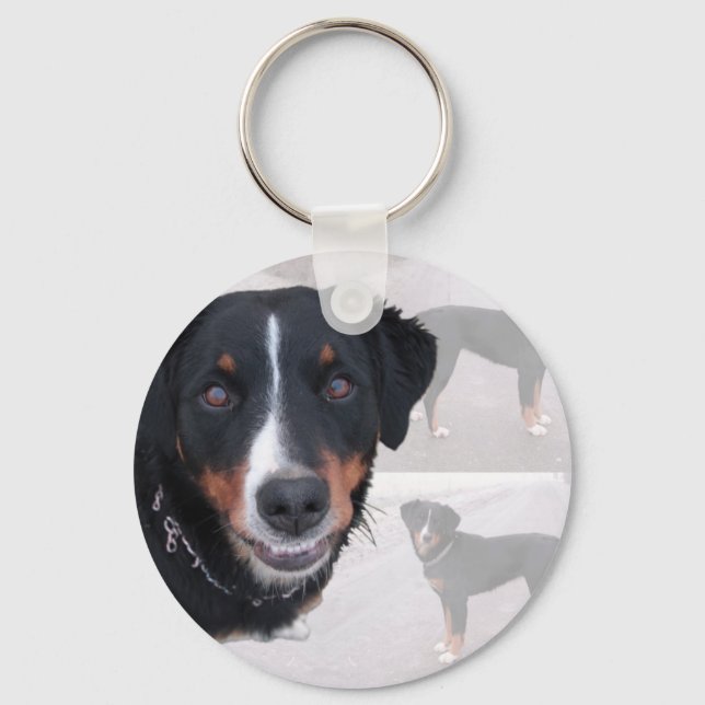 "Appenzeller Sennenhund" Keychain (Front)