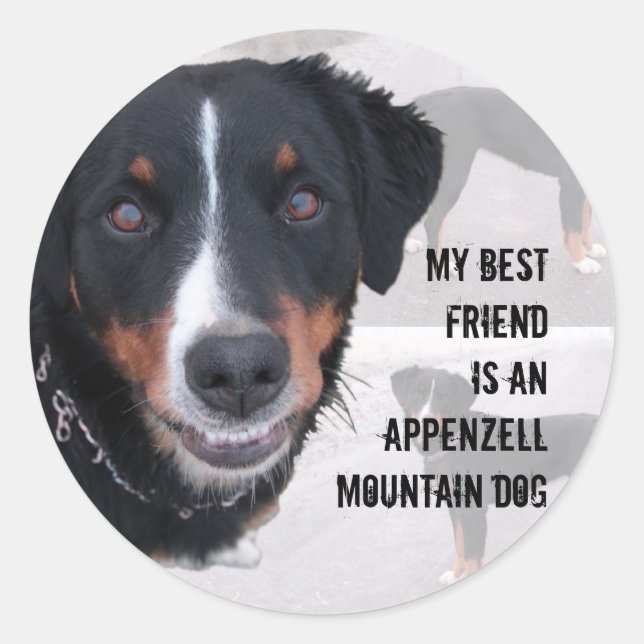 "Appenzeller Sennenhund" sticker (Front)