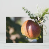 Apple (Standing Front)
