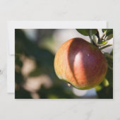 Apple (Back)