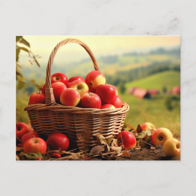 Apple Basket, autumn, Postcard (Front)
