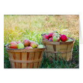 Apple Baskets Cards (Front Horizontal)