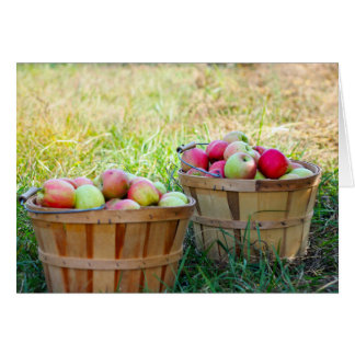 Apple Baskets Cards